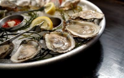 Ninth Day of Ford’s Christmas – Wicked Pissah Oysters