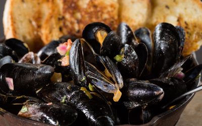 First Day of Ford’s Favorites – Angry Mussels
